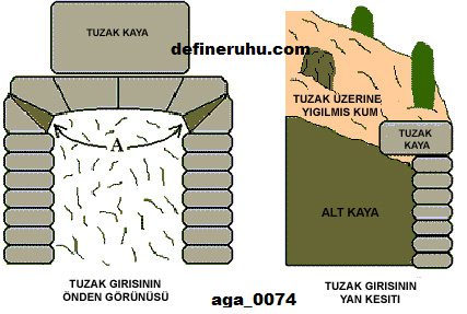 image006.png image006.png