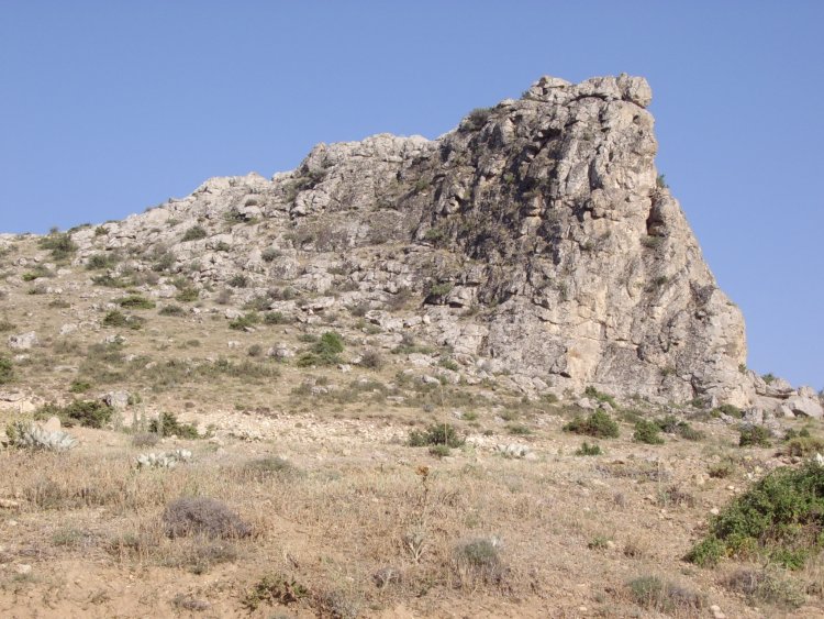 STA40812.JPG