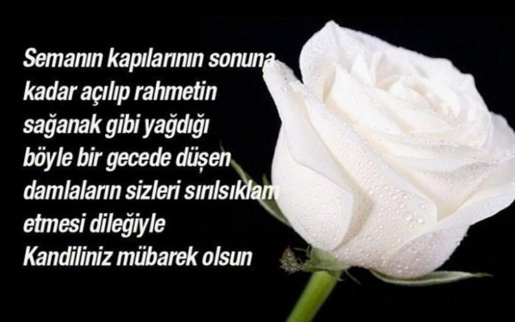 5a1e5f8b67b0a929245c18e0.jpg