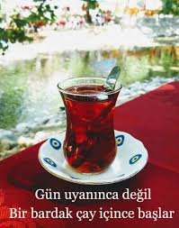 Ç A Y L A RRRRR.jpg