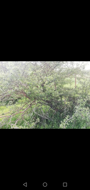 Screenshot_20210610-162812.jpg
