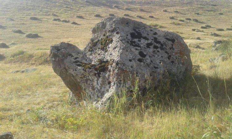 IMG-20210805-WA0001.jpg