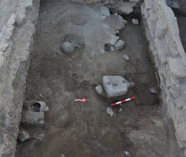 doryla2.jpg doryla2.jpg