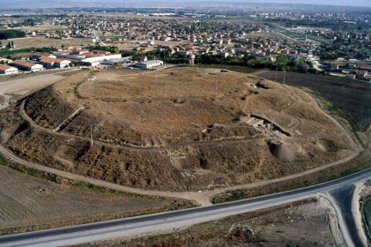 doryla3.jpg doryla3.jpg